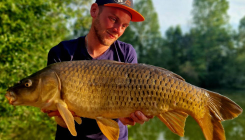 A carp from Cerises, Jun 2023
