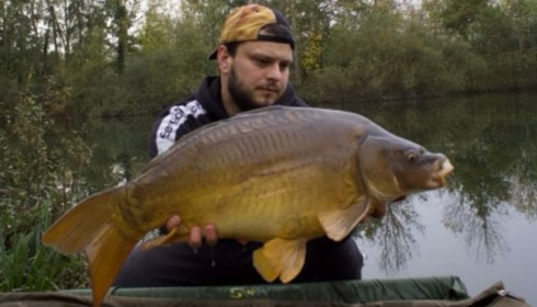 A carp from Cerises, Nov 2024