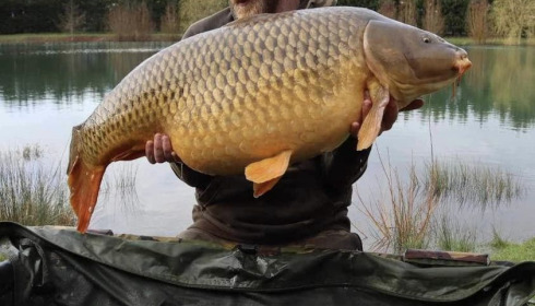 A carp from Deux Iles, Mar 2024