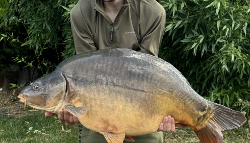 A 37 lb fish from Deux Iles, 37lb, Aug 2024