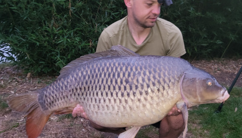 A carp from Deux Iles, James Hunt, Sep 2023