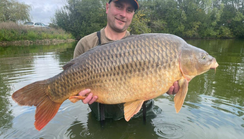 A carp from Deux Iles, Sep 2025