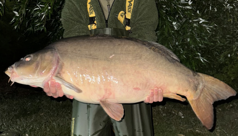 A 31 lb fish from Deux Iles, 31lb, Aug 2024