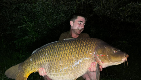 A carp from Deux Iles, Jun 2024