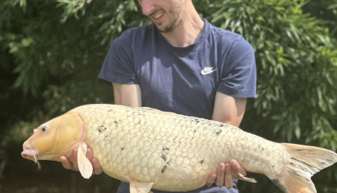 A fish from Deux Iles, 17lb Koi, Aug 2024