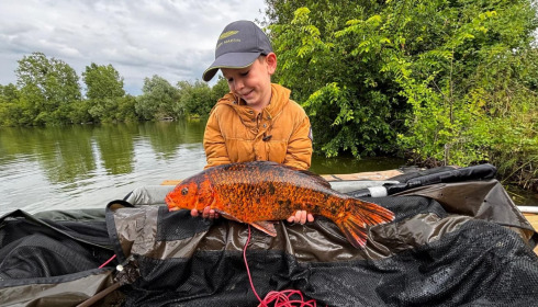 A carp from Duquesne, Jan 2025