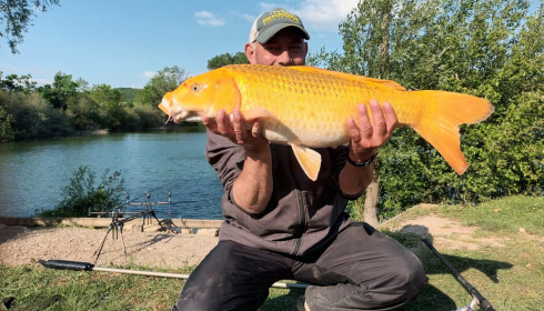 A carp from Duquesne, Jan 2025