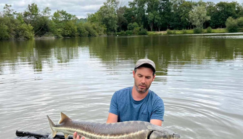 A sturgeon from Duquesne, Jan 2025