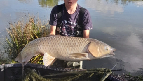 A grass carp from Duquesne, Jan 2025