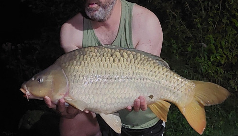 A carp from Eau De Vie North, Sep 2024