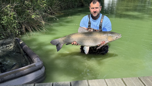 A 26 lb 1 oz fish from Eau De Vie North, Grass carp, May 2025