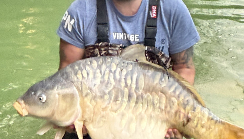 A 47 lb 4 oz fish from Eau De Vie North, mirror carp PB, May 2025