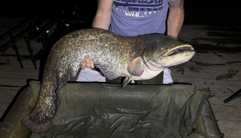 A 52 lb 1 oz fish from Eau De Vie North, Catfish PB, May 2025