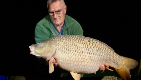 A carp from Eau De Vie North, Apr 2025