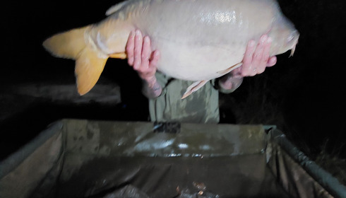A 38 lb 5 oz fish from Eau De Vie North, Sep 2023
