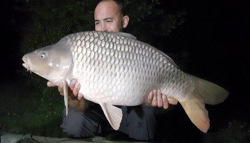 A carp from Eau De Vie North, Sep 2024
