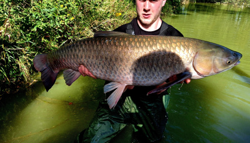 A carp from Eau De Vie North, Jul 2024