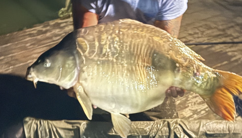 A 46 lb 1 oz fish from Eau De Vie North, Mirror carp, May 2025