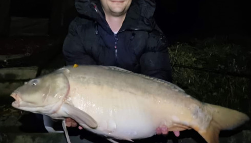 A carp from Eau De Vie North, Sep 2024