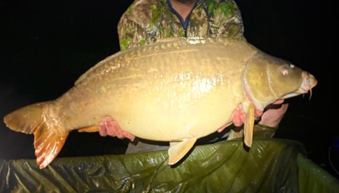 A 40 lb 7 oz carp from Eau De Vie North, James Simpson, Oct 2024