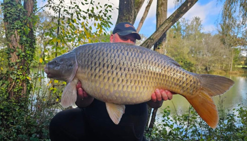 A fish from Eau De Vie North, Common, Oct 2023