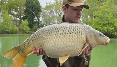 A carp from Eau De Vie North, Apr 2025