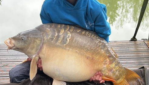 A 42 lb carp from Eau De Vie North, Coen Wolstenholme, Apr 2024