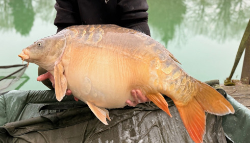 A carp from Eau De Vie North, Apr 2025