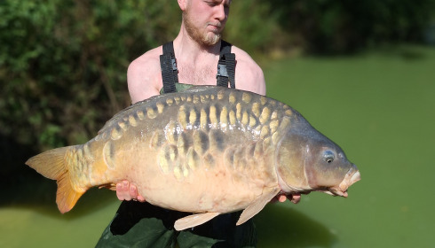 A fish from Eau De Vie North, Jul 2025