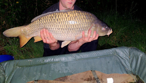 A carp from Eau De Vie North, Jul 2024