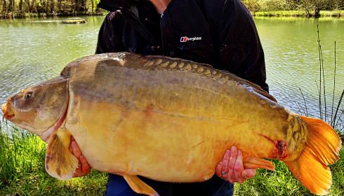 A 58 lb 11 oz carp from Eau De Vie South, Katie Money, Apr 2024