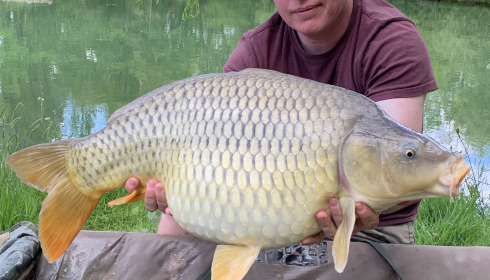 A carp from Eau De Vie South, Apr 2024