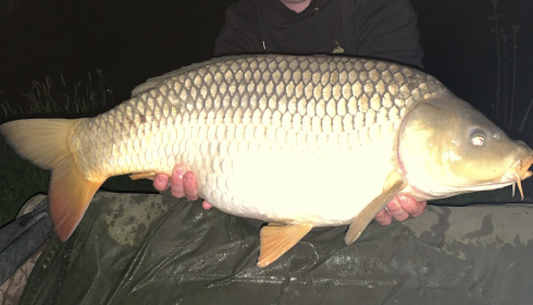 A carp from Eau De Vie South, Apr 2024