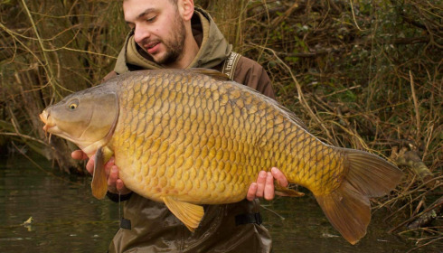 A carp from Emeraude, Jordan, Mar 2024