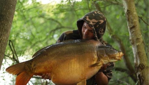 A carp from Emeraude, May 2024
