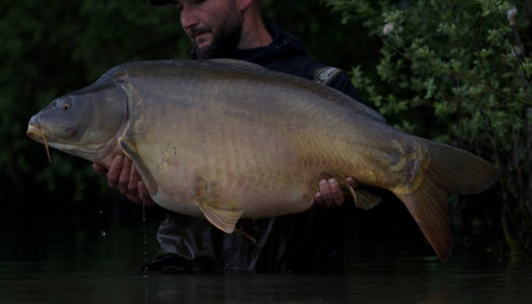 A carp from Emeraude, Apr 2025