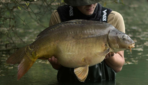 A fish from Emeraude, Oct 2024