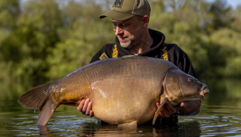 A carp from Emeraude, Apr 2024