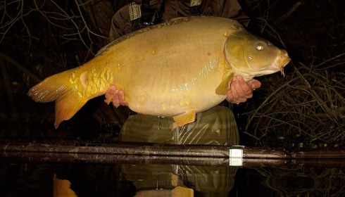 A carp from Emeraude, Jordan, Mar 2024