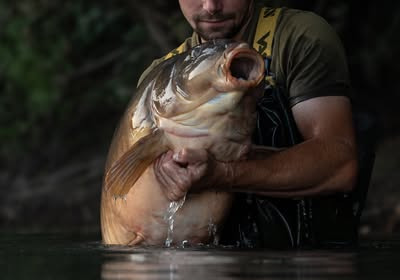A 66 lb 14 oz carp from Emeraude, Oct 2025