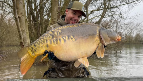 A carp from Emeraude, NEW STOCK, Jan 2025