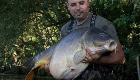 A carp from Emeraude, Jun 2024