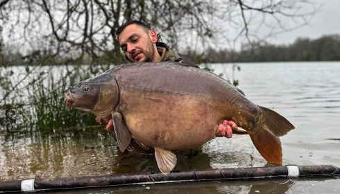 A carp from Emeraude, Jordan, Mar 2024