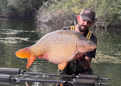 A carp from Emeraude, Aug 2025