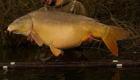 A carp from Emeraude, Jordan, Mar 2024