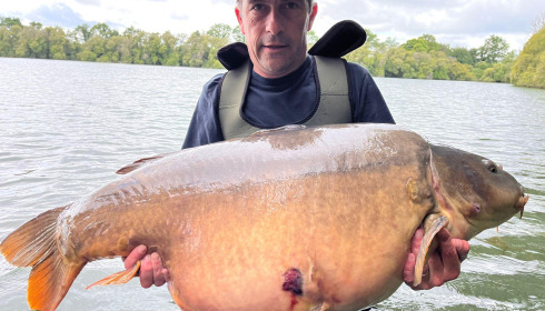 A carp from Emeraude, Jun 2025