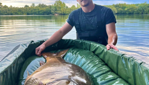 A carp from Emeraude, Sep 2023