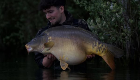 A carp from Emeraude, Apr 2025
