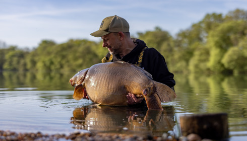 A carp from Emeraude, Apr 2024