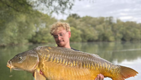 A carp from Emeraude, Sep 2023